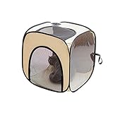 Haustier-Trockenbox, zusammenklappbar, tragbar, für die Fellpflege, Reisetaschen für Katzen, Hunde, Kaninchen, 50 cm