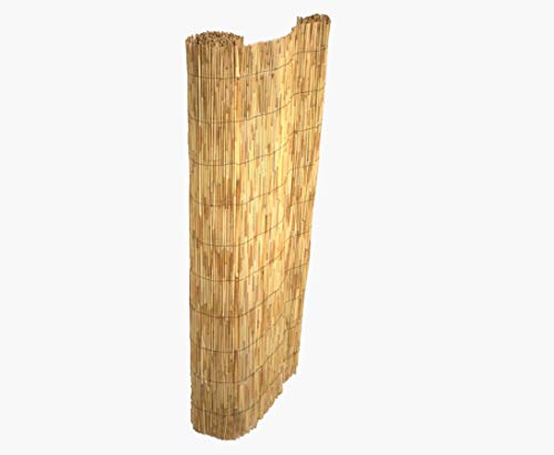 bambus-discount.com Bambusmatte Rio - Sichtschutzmatte günstig 100 x 500cm