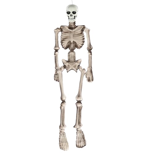 Halloween Skelett animiert zum Aufhängen | Kunststoff Polyester H160cm | Sound LED Lichteffekt Berührungssensor (1 x Skelett 160cm)