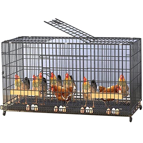 Hof Geflügelkäfig, Hühnerstall mit Grasnestrollen, ideal für 3–15 Hühner