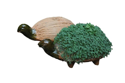 Lassen Sie Ihr eigenes KresseSchildkröte gedeihen (Inklusive Kressesamen). Fair gehandelt. Handarbeit aus Mexiko. Schildkröte.