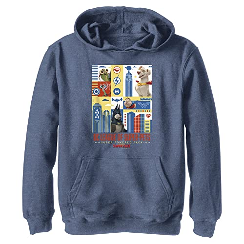 DC Comics Kids' DC Super Pets Cover Youth Pullover Hoodie, Navy Blue Heather, Large