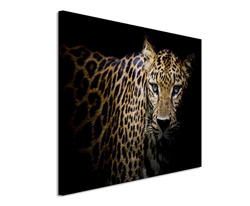 Fotoleinwand 120x80cm Tierbilder – Leopard mit grünen Augen