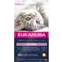 Eukanuba Healthy Start Kitten - Sparpaket: 3 x 2 kg