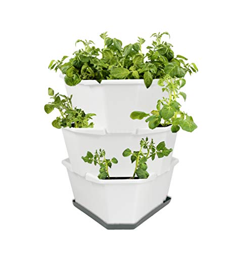 GUSTA GARDEN Paul Potato Starter Kartoffelturm - stapelbar - Hochbeet/Pflanzgefäß für Balkon und Garten (3 Etagen, Weiß)
