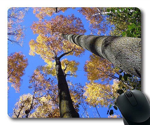 (Precision Lock Edge Mouse Pad) Trees Look up Forest Sky Nature Abstract Gaming Mouse Pad Mouse Mat for Mac or Computer