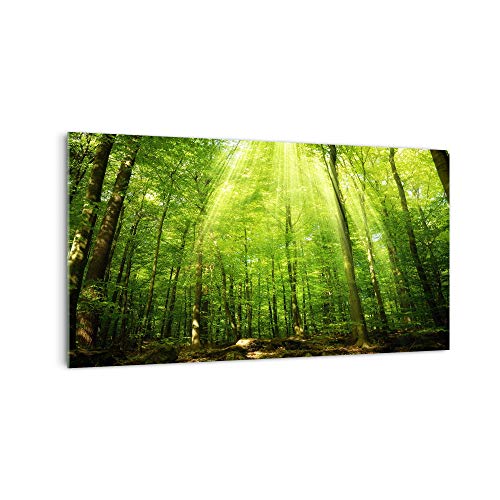 DekoGlas Küchenrückwand 'Bäume im Wald ' in div. Größen, Glas-Rückwand, Wandpaneele, Spritzschutz & Fliesenspiegel