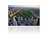 Leinwandbild Manhattan Central Park 120x80cm. Handgefertigt. Leinwand und Holzkeilrahmen.Qualität aus Deutschland!