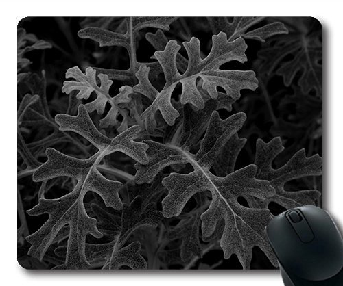 (Precision Lock Edge Mouse Pad) Leaves Nature Shadows Beautiful Abstract Gaming Mouse Pad Mouse Mat for Mac or Computer
