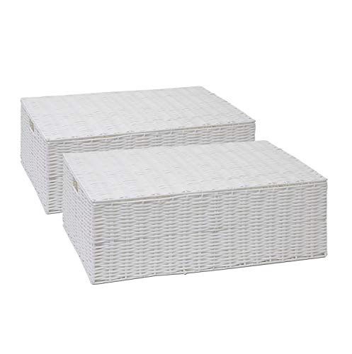 ARPAN Aufbewahrungsbox unter dem Bett, aus Kunstharz, gewebt, mit Deckel, Weiß, 2 Stück, Set of 2-Large, 2