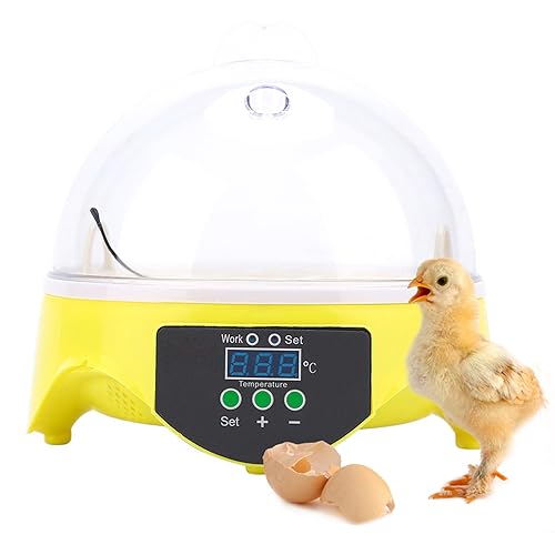 7 Eier Brutapparat, Eier Inkubator mit LED Beleuchtung, 20W Mini Eier Brutkasten, eingebauter Lüfter, für Geflügeleier Hühnereier Wachtel