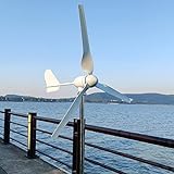 1000W Windkraftanlage 12V 24V 48V Windturbine Generator mit Hybrid Controller für den Heimgebrauch hohe Effizienz (12V mit Controller)