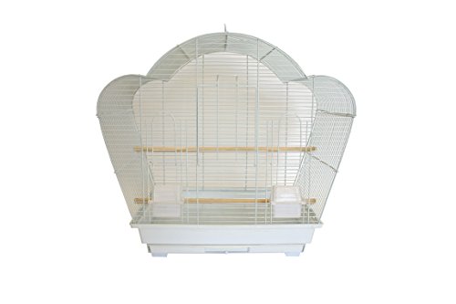 YML A1954 1/2" Bar Spacing Shell Top Small Bird Cage, White, 20" x 16"