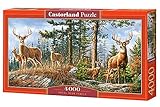 Castorland Puzzle 4000 pièces : Famille Cerf Royal