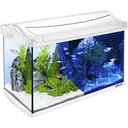 TETRA Tetra AquaArt LED Aquarium Komplett-Set Weiß 60L - weiss