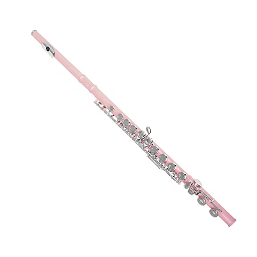 PECY 16-Loch-C-Key-Flöte Für Anfänger, Um Messingflöte Mit Geschlossenem Loch Zu Spielen Querflöten (Color : Pink)