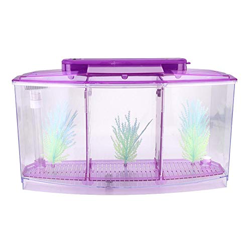 Atyhao Mini Zucht Aquarium, Mini Aquarium Transparent Aquarium LED Acryl DREI Abteilungen Zucht Isolation Box für kleine Fische(lila)