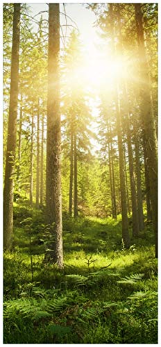 Wallario Selbstklebende Türtapete Sonnenstrahlen im Nadelwald mit Moos und Farn - 93 x 205 cm Abwischbar, rückstandsfrei zu entfernen