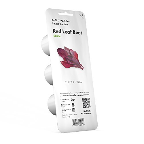 Click & Grow SGR56x3 Bloody Sorrel Refill 3-Pack, Red Leaf Beet