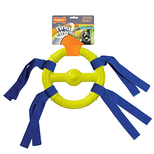 Nylabone Power Play Ring Thing Hundespielzeug, schwimmfähig, Größe M, 1 Stück