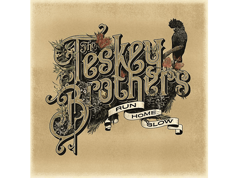 The Teskey Brothers - RUN HOME SLOW (180G VINYL) (Vinyl)
