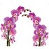 Wenko Multi-Platte Orchideenblüte für Glaskeramik Kochfelder Mehrfarbig