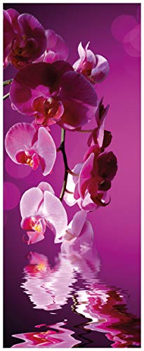 Wallario Wandbild aus Acryl, 50 x 125 cm, freischwebende Optik - Rosafarbene Orchidee Blüten in pink