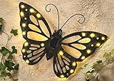 ABC Home Garden Schmetterling dunkel-grün, 22500, ca. 3 cm T x 42 cm B x 29 cm H
