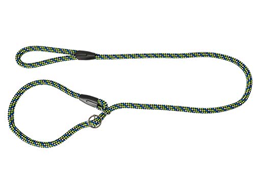 Dingo Retrieverleine mit Zugstopp Hundeleine aus Seil ''Magic'' und aufstellbarem HalsbandTrainingsleine für Hunde Agility 1,2 x 170 cm Grün-Blau 10488