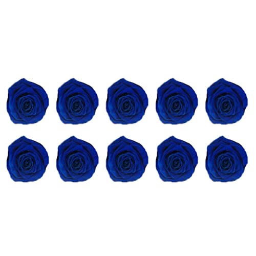 10-12 konservierte Rosenblüten unsterbliche Rosenköpfe Hochzeit Party Blumen Geschenke Dekorationen Valentinstag Geschenke 3-4 cm Durchmesser - J-10 Stück
