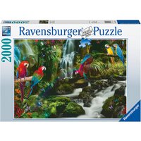 Ravensburger Puzzle - Bunte Papageien im Dschungel - 2000 Teile
