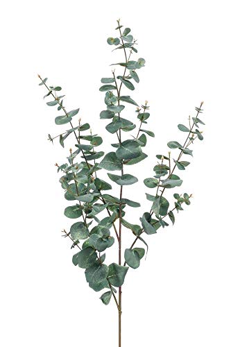 artplants.de Kunstzweig Eukalyptus Zweig Calliope, grün-grau, 115cm - Deko Eucalyptus
