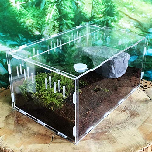 funnyfeng Aquarien, Reptilien Box Acryl Terrarien für Reptilien Amphibien, Zuchtbehälter Terrarium für Schlangenschildkröten, Transportboxen