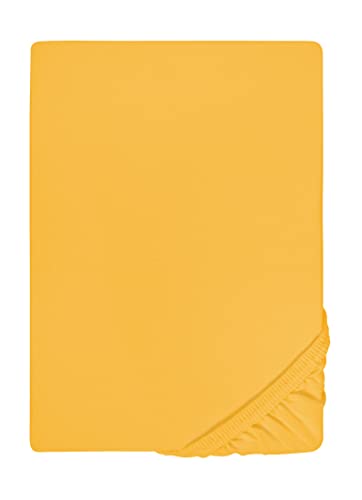 biberna 77144 Jersey-Stretch Spannbetttuch, nach Öko-Tex Standard 100, ca. 180 x 200 cm bis 200 x 200 cm, gelb