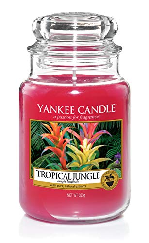 Yankee Candle große Duftkerze im Glas, Tropical Jungle, Brenndauer bis zu 150 Stunden