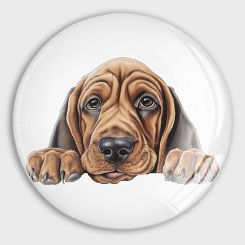 Evans1nism Kühlschrankmagnete aus Glas, Motiv: Bloodhound Hund, niedlich, für Hundeliebhaber, niedliche Kühlschrankmagnete, Welpen, Hund, niedliche dekorative Magnete, Büro, Küche, Spind, 4 Stück