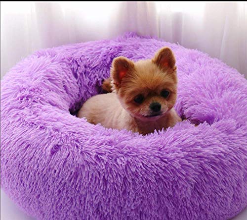 Snug Weich Hundebett,Donutbett,Haustierbett für Katzen und kleine mittelgroße Hunde,kuschelig mit weichem Kissen,rund oder oval Donut Nisthöhle,Waschbar-M(70 * 70 * 20cm)-violett