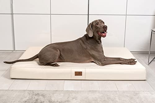 tierlando® Orthopädische Hundematratze Hugo Ortho Plus | L 100 x 80 cm | Anti-Haar Polyester | Creme