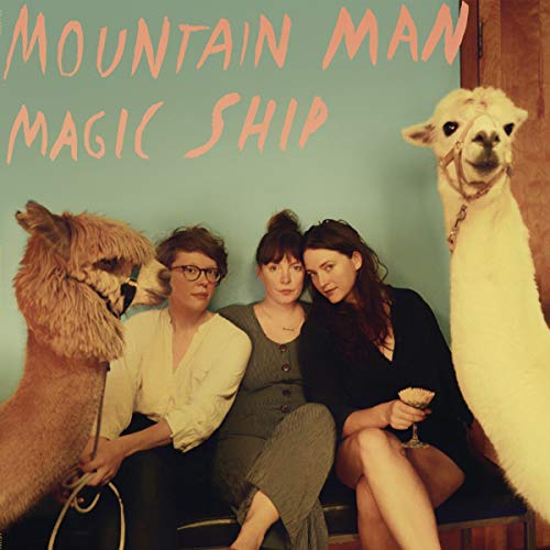 Magic Ship (Lp+Mp3,Transparent) [Vinyl LP]