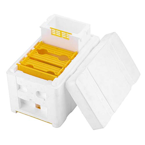HomeDecTime Ernte Bienenstock Bestäubung Imkerei König Box für die Königinnenzucht Werkzeug Imkerei Ausrüstung