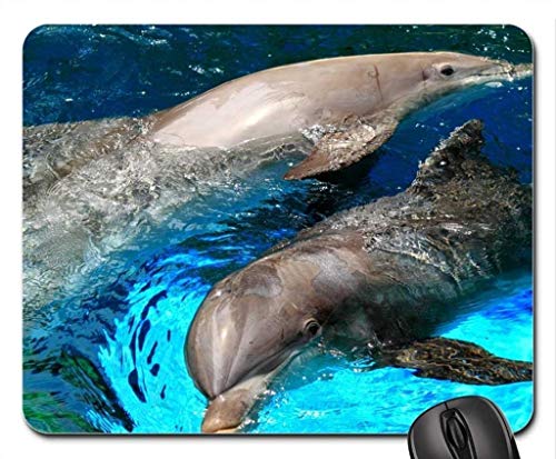 Die Delfine Yanteng Mousepad, Maus - Pads (Dolphin - Mousepad) 004