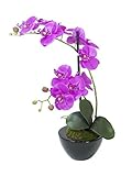 EUROPALMS Orchideen-Arrangement 4, künstlich | Orchidee im Dekotopf
