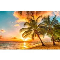 papermoon Vlies- Fototapete Digitaldruck 250 x 180 cm, Barbados Palm Beach