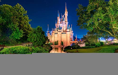 LHJOYSP iq Puzzle 1000 Teile,natürliche Schönheit,Sterne,Park,Fluss,USA,Orlando,75x50cm