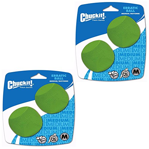 Chuckit! (6 Pack) Erratic Ball for Dogs Medium Ball Two Count