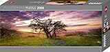 Heye 29472 - Panorama Puzzles 2000 Teile Oak Tree