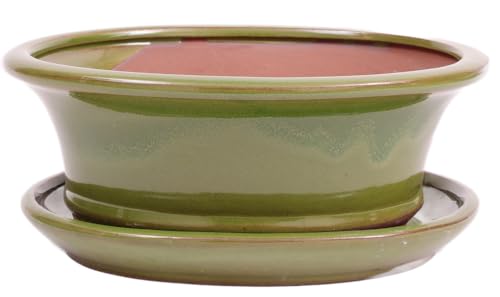 Bonsai - Schale oval 21 x 17.5 x 8.5 cm, grün, mit Untersetzer 23195