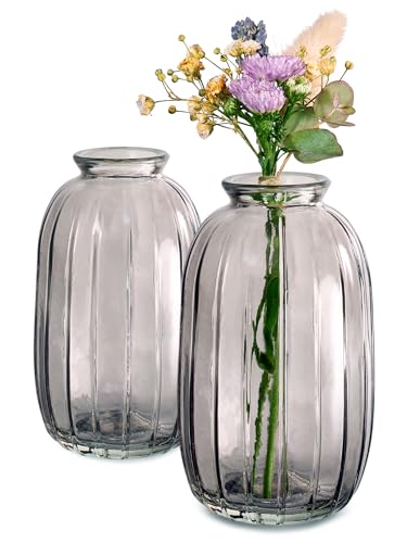 Kleine Glasvasen - 12er Set - Vintage Stil - Runde & Stabile Blumenvasen - Spülmaschinenfest - Perfekt für Hochzeit Tischdeko - Grau