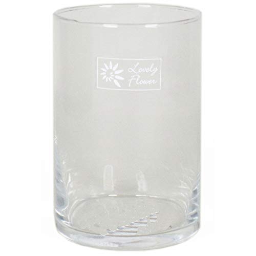 6 x Zylinder Glas als Windlicht oder Terrarium für Pflanzen H 15 cm