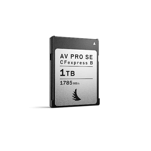 Angelbird - AV PRO CFexpress B SE - 1 TB - CFexpress Typ B Speicherkarte - Allrounder Kapazität - für erweiterte Video- und Fotoinhalte Produktion - bis zu 12K+ RAW